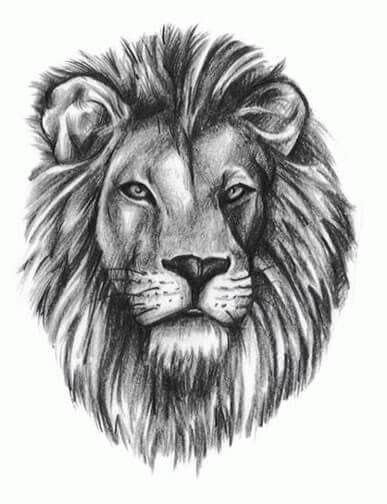 25+ Unbelievably Realistic Lion Tattoo Drawings | Lion head tattoos, Lion tattoo design, Small ...