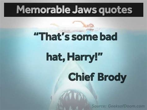 'Jaws' at 40: 17 memorable movie quotes