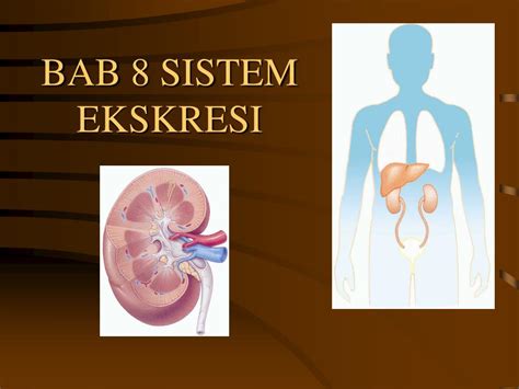 PPT - BAB 8 SISTEM EKSKRESI PowerPoint Presentation, free download - ID:4030660