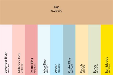 Tan Color: Its Meaning, Codes, and Top Palette Ideas - Picsart Blog