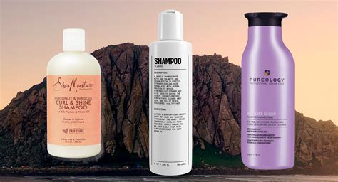 Shampoo For Dry Scalp But Greasy Hair at Ann Broman blog