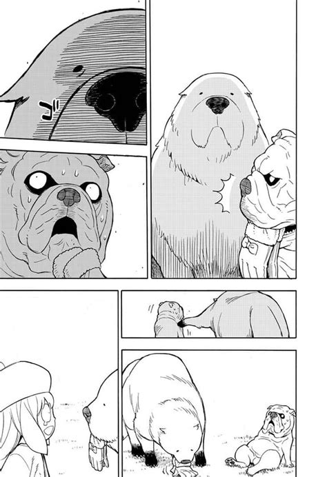 Comic Drawing of Dogs and Bear