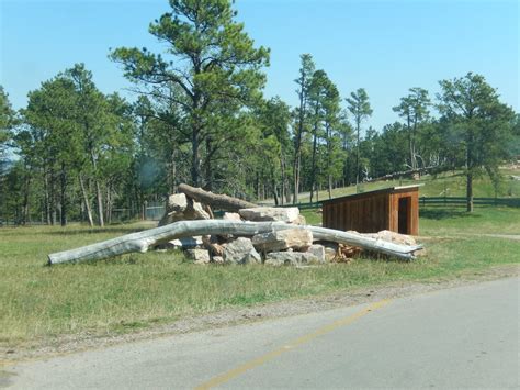 9/7/2021 - Bighorn Sheep Habitat - ZooChat