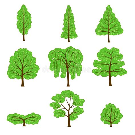 Set Green Tree Icon With Different Crown Shape Stock Vector - Illustration of design, deciduous ...