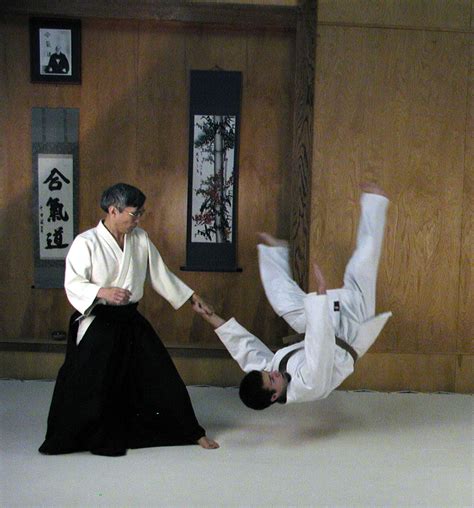 Hobby and Sport: History of Aikido Martial Arts