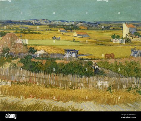 The Harvest painted by Vincent Van Gogh Stock Photo - Alamy