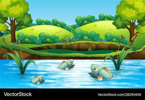 Fish in pond Royalty Free Vector Image - VectorStock