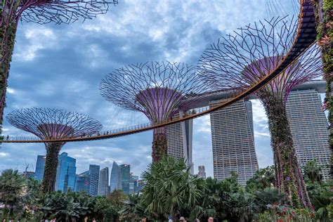 Singapore's Amazing Gardens by the Bay and Marina Bay Sands | Andy's ...