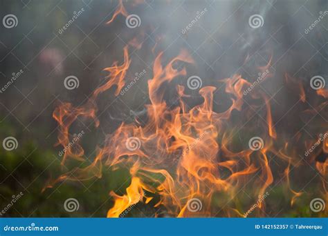 Fire and smoke stock image. Image of cook, fired, burning - 142152357