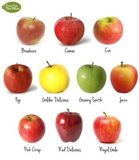 How many varieties of Apple are there? | How Many Are There