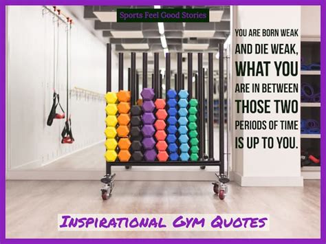 227 Inspirational Fitness Slogans For Motivation (and Fun!)