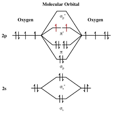 Molecular Orbital Diagram For C2