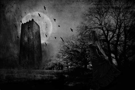 Gothic Castle with Birds and Moon