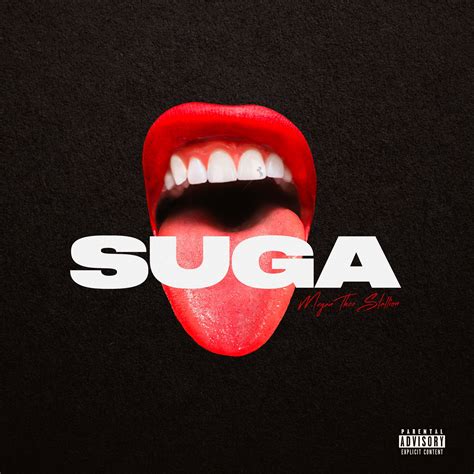 Megan Thee Stallion Releases New Project 'Suga': Stream | HipHop-N-More