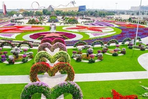 Dubai Miracle Garden Is One Of The Most Amazing Things We've Seen (PHOTOS, VIDEO) | HuffPost