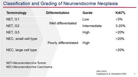 Grading And Staging – Neuroendocrine Neoplasms, 44% OFF