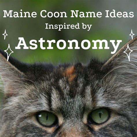 15 Astronomical Names for Maine Coon Cats (From Apollo to Vulcan) - PetHelpful