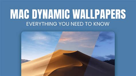 Mac Dynamic Wallpaper Backgrounds: Everything You Need To Know - Wallpapers.com Blog on Wallpapers