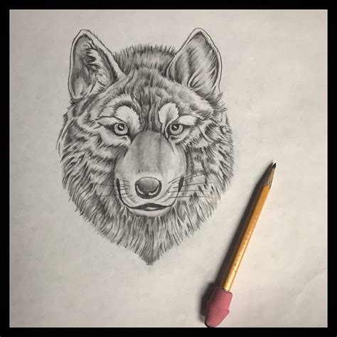 Number two pencil drawing | Pencil drawings, Drawings, Animal tattoo