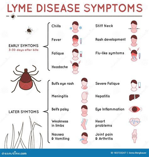 Tick disease poster stock vector. Illustration of anaplasmosis - 183733247