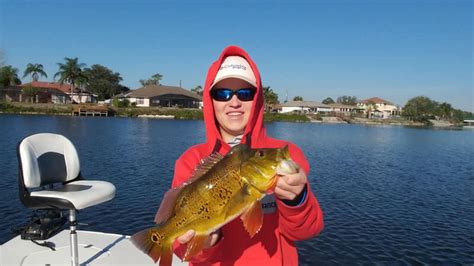 Naples Florida Fishing Peacock Bass With Captain Mark Rogers