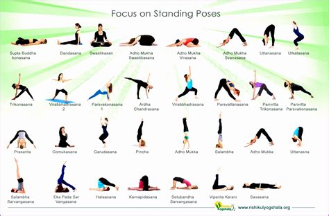 7 Basic Yoga Poses - Work Out Picture Media - Work Out Picture Media