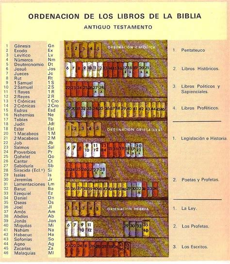 Division de la biblia - Imagui