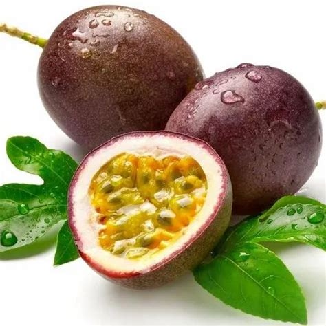 Fresh Dark Ripe Purple Passion Fruit / Fresh Purple Passion Fruit at Rs ...