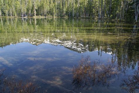 Hiking Trinity Divide Trails: Cliff Lake, Picayune Lake, Pacific Crest Trail - Northern ...