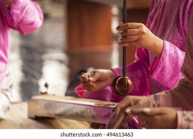 Woman Play Typical Vietnamese Monochord Musical Stock Photo 494613463 ...