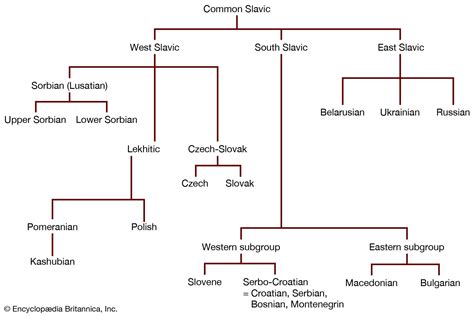 South Slavic languages | Britannica