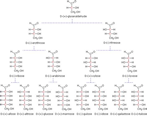 23.4: D and L Sugars - Chemistry LibreTexts