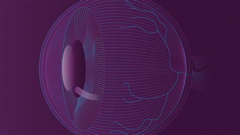 Genentech: Understanding Wet Age-related Macular Degeneration