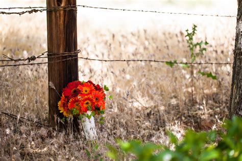 Bouquet and Barbed Wire