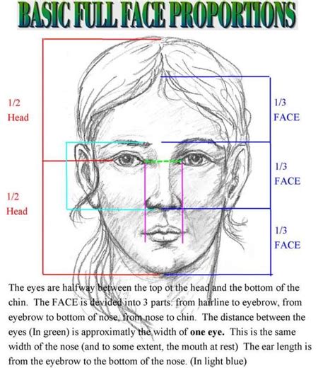 Proportions Of The Face Worksheets