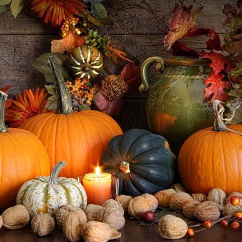 How to Use Gourds, Squash, & Pumpkins in Fall Decor | Montana Happy