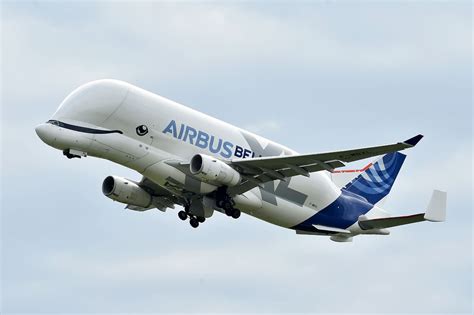 Airbus to charter its popular Beluga XL 'whale plane' | News Channel 3-12