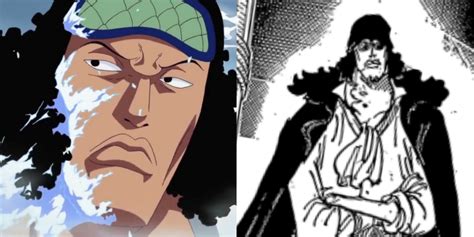 One Piece: How Kuzan Joined The Blackbeard Pirates, Explained