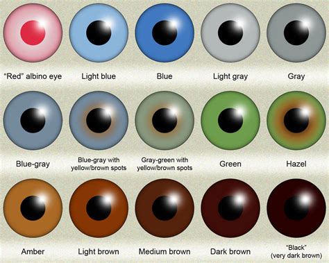 Human eye color (iris color) chart by KDC-71 on DeviantArt