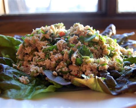 hmong beef larb recipe