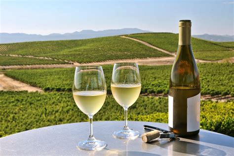 Your Chardonnay Wine Guide | Halleck Vineyard