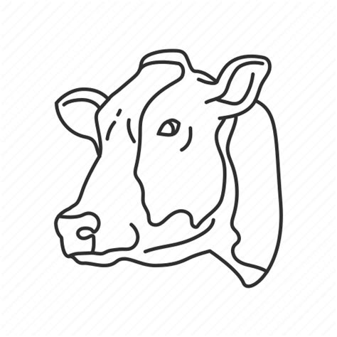 Cow Head Drawing Png : Hb (#2) pencil, 4b pencil eraser drawing paper drawing surface it has ...