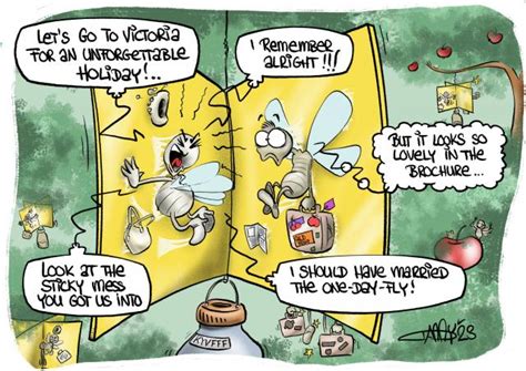 CARTOON: Keep fruit fly away | Lilydale Star Mail