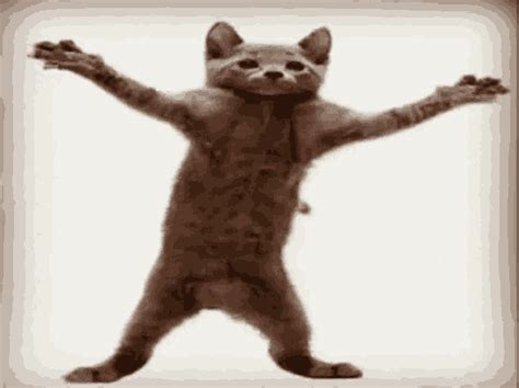 Happy Dance GIF - Happy Dance Cat - Discover & Share GIFs