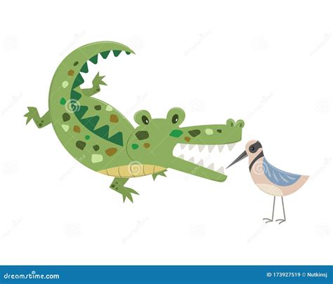 Crocodile With Big Teeth Cartoon Vector | CartoonDealer.com #90028069