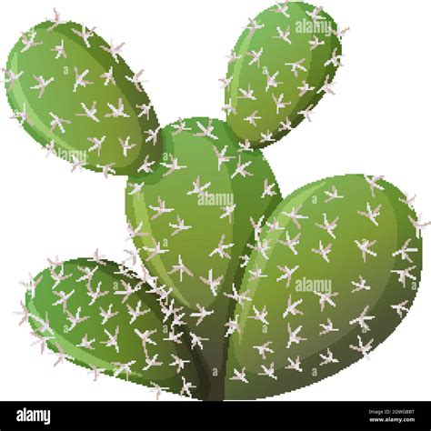 Prickly Pear Cactus Clip Art