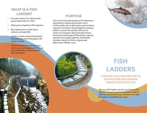 Restoration Pamphlet - WHAT IS A FISH LADDER? Provides a detour for migrating fish past an - Studocu