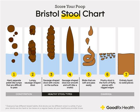 Bristol Stool Chart: Checking If Your Poop Is Healthy, 56% OFF