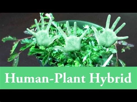 Human-Plant Hybrid (Genetic Engineering at Home) - YouTube