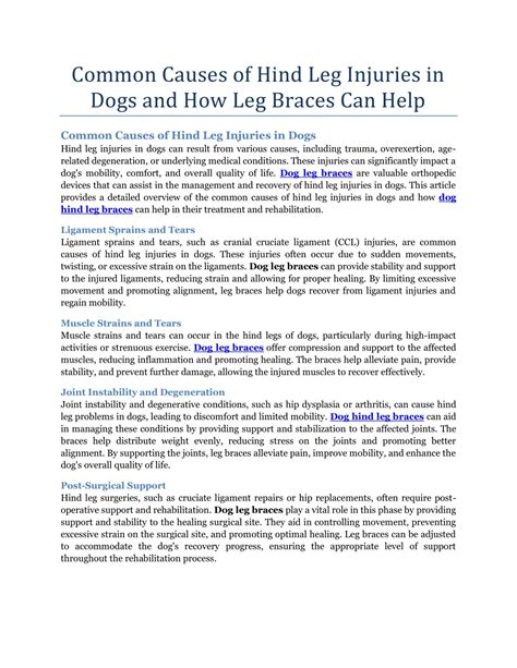 PPT - Common Causes of Hind Leg Injuries in Dogs and How Leg Braces Can Help PowerPoint ...